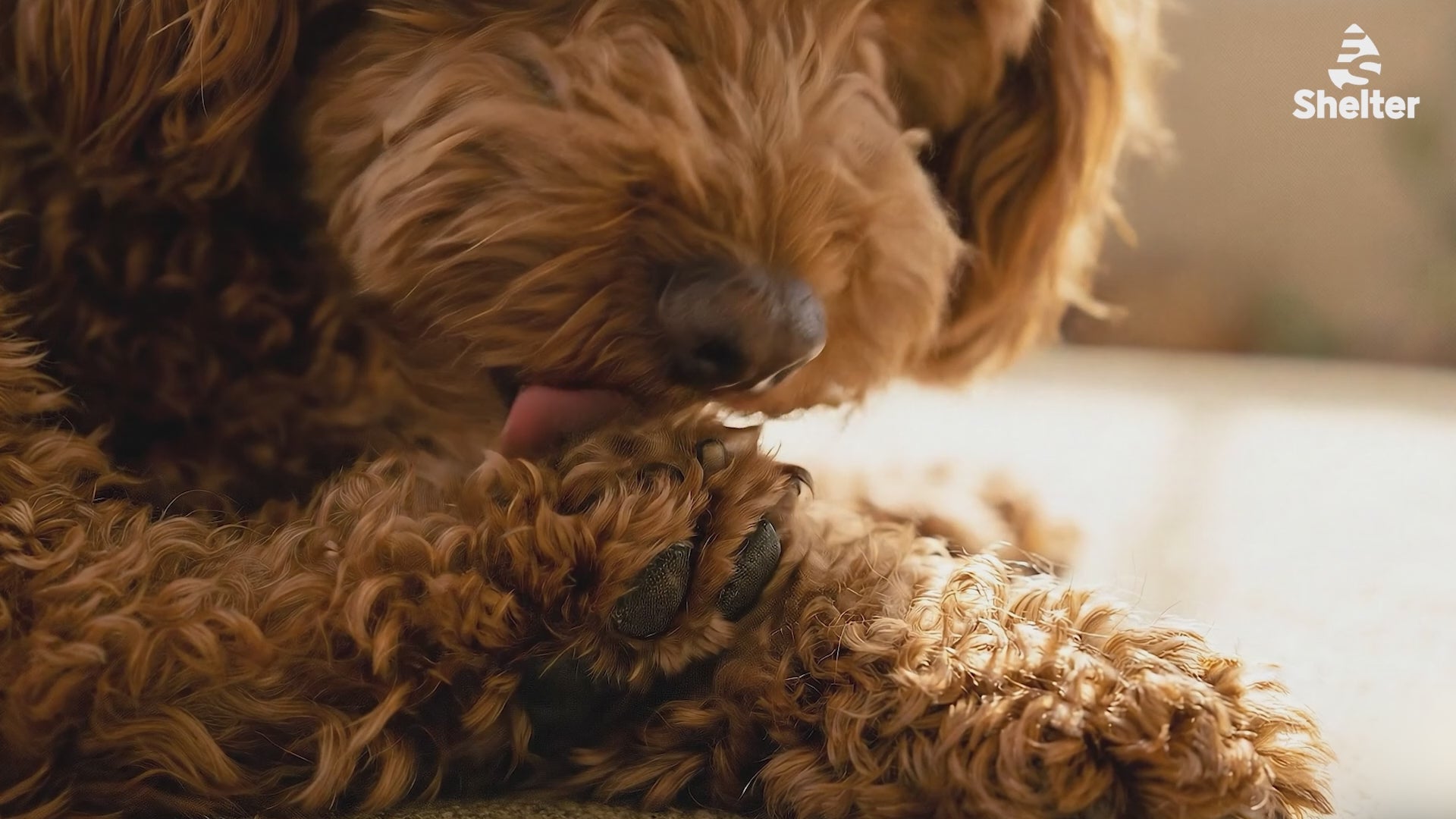 BT Spray   Note : Please participate in the pre‑launch market survey